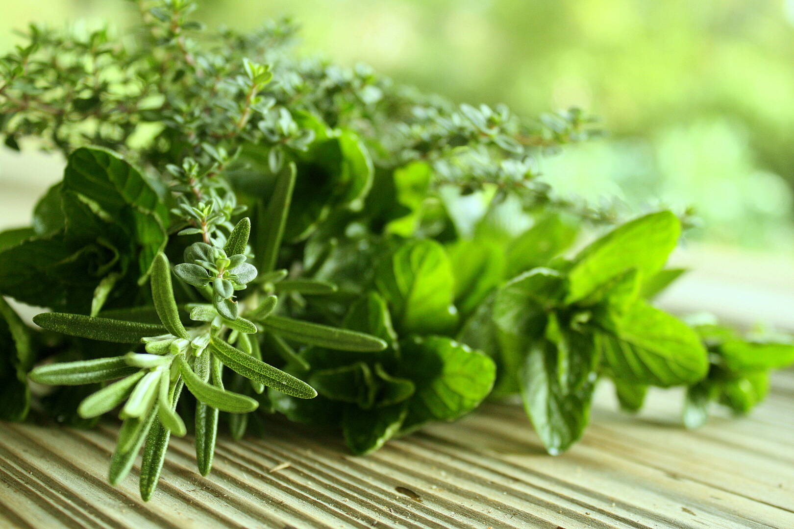 Hero-Image-Healthy-Herbs-from-Green-Blender