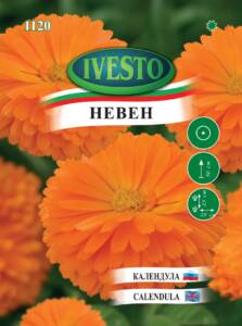 Семена Невен