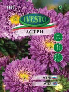 Семена Астри Лилави