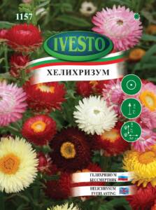 Семена Хелихризум Микс