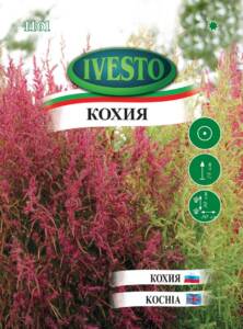 Семена Кохия