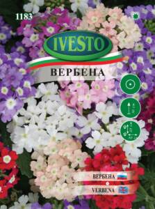 Семена Вербена Микс