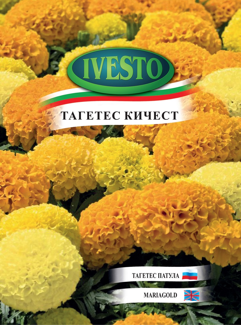 Семена Тагетeс Кичест Еректа Семена Тагетeс Кичест Еректа