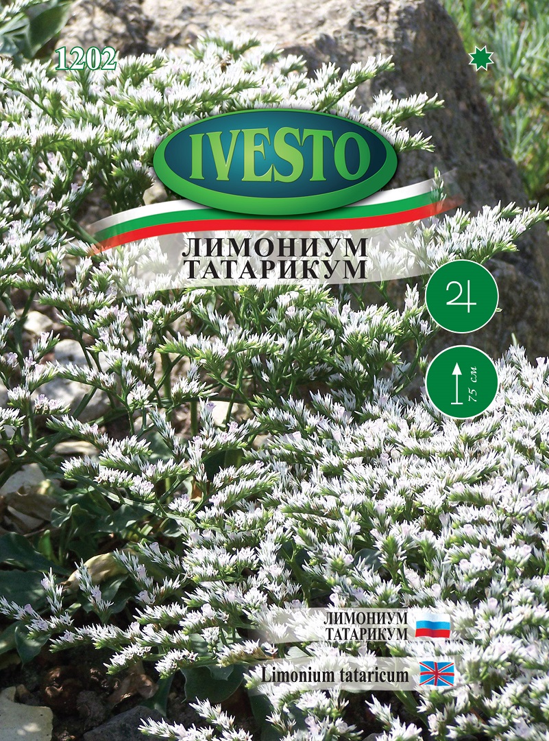 Семена Лимониум Татарикум Семена Лимониум Татарикум