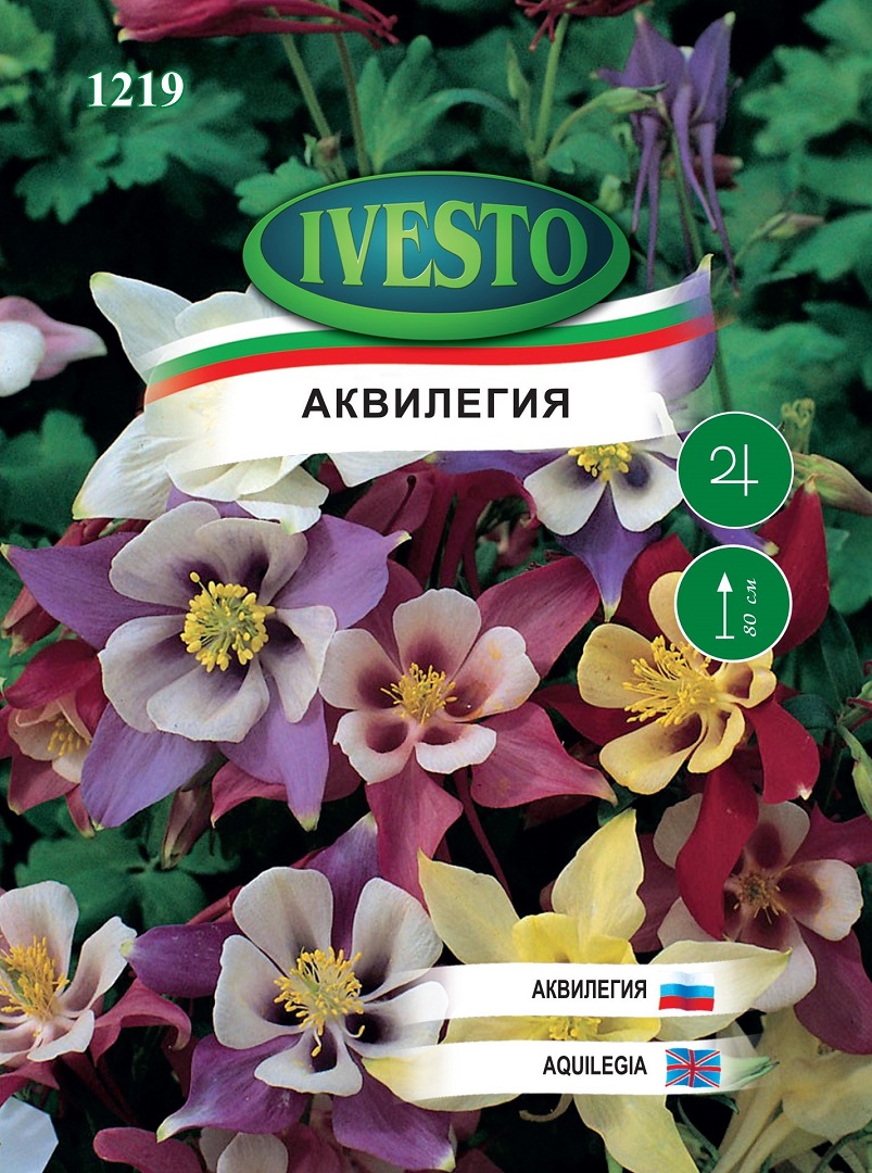 Семена Аквилегия Семена Аквилегия