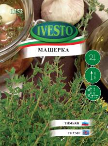 Семена Мащерка