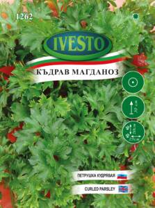 Семена Магданоз Къдрав