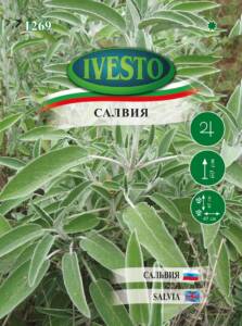 Семена Салвия