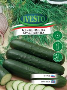 Семена Краставици Long Marketer