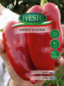 Семена Куртовска Капия