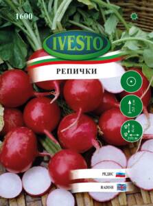 Семена Репички