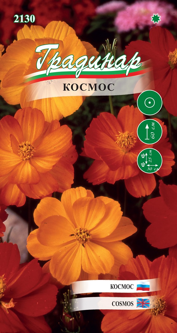Семена Космос Семена Космос