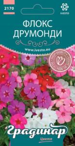Семена Флокс Друмонди Микс