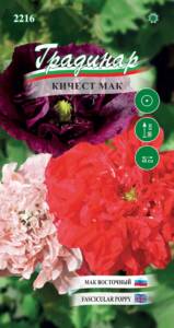 Семена Кичест Мак