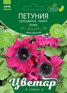 Семена Петуния Бордо