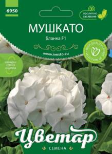 Семена Мушкато Бланка F1