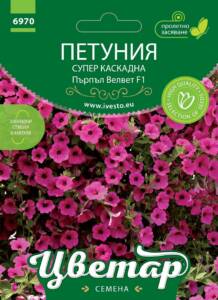 Семена Петуния Пърпъл Велвет F1