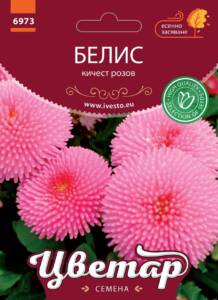 Семена Белис Кичест Розов