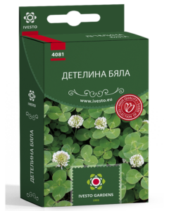 Детелина Бяла Кутия