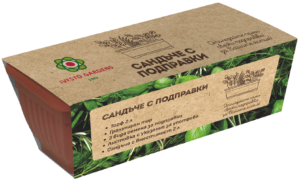 Сандъче с Ароматни подправки